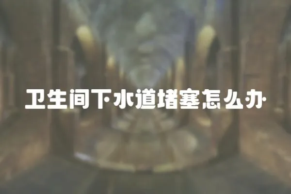 衛(wèi)生間下水道堵塞怎么辦