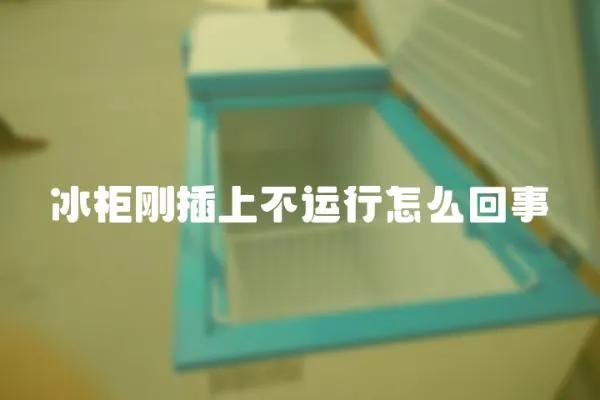 冰柜剛插上不運行怎么回事