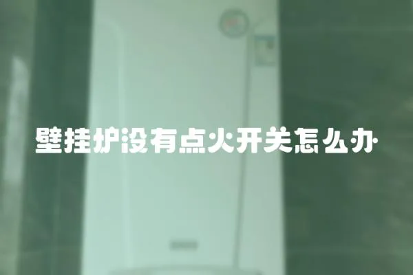 壁掛爐沒有點火開關怎么辦