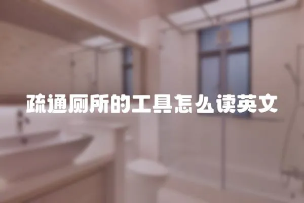 疏通廁所的工具怎么讀英文