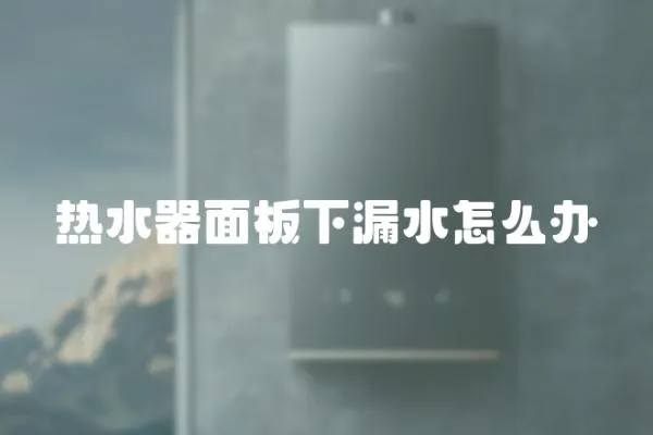 熱水器面板下漏水怎么辦