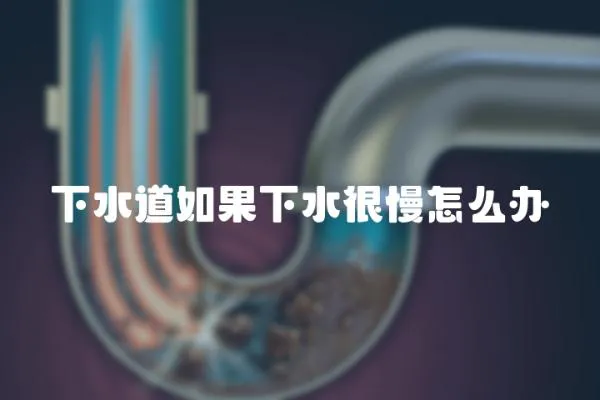 下水道如果下水很慢怎么辦