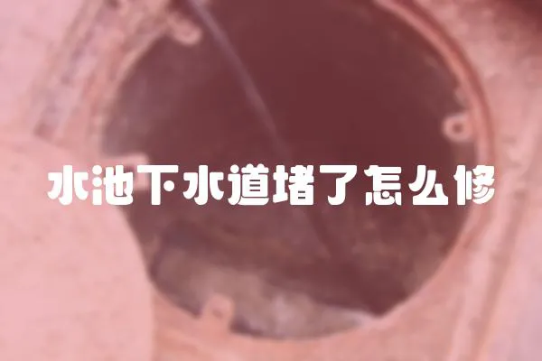 水池下水道堵了怎么修