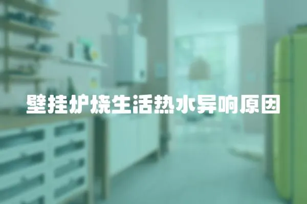壁掛爐燒生活熱水異響原因