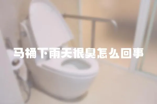 馬桶下雨天很臭怎么回事