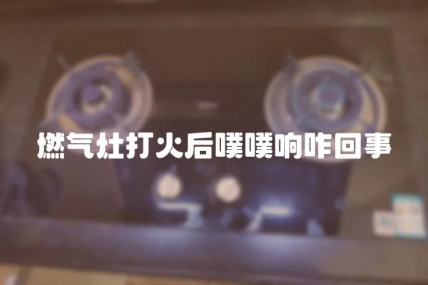 燃氣灶打火后噗噗響咋回事