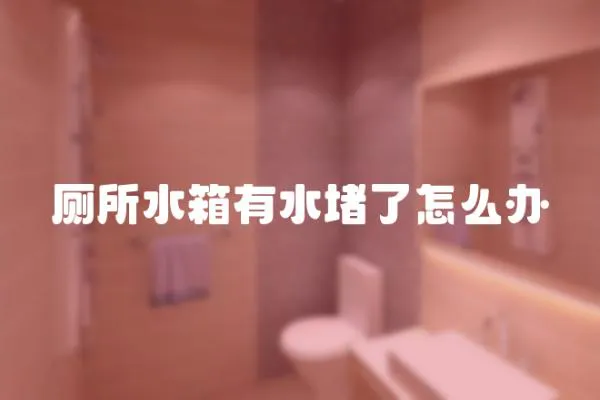 廁所水箱有水堵了怎么辦