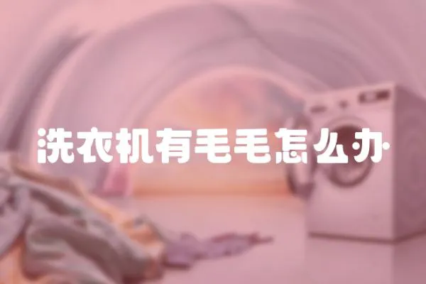 洗衣機有毛毛怎么辦