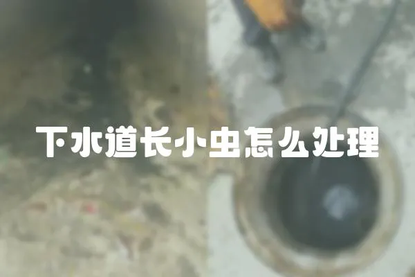 下水道長小蟲怎么處理