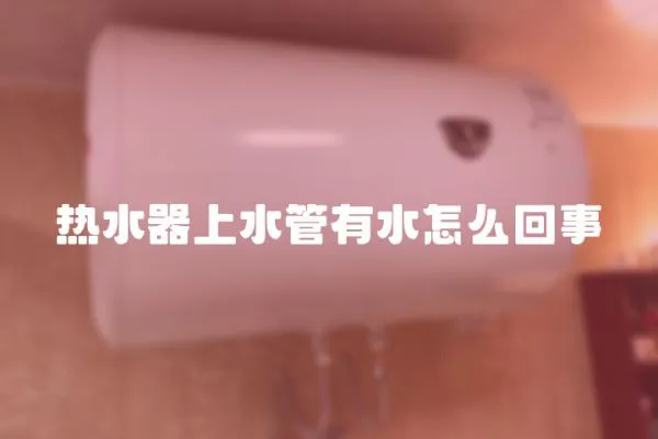 熱水器上水管有水怎么回事