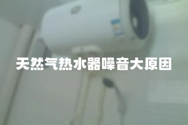 天然氣熱水器噪音大原因