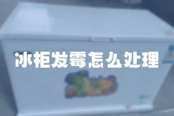 冰柜發(fā)霉怎么處理