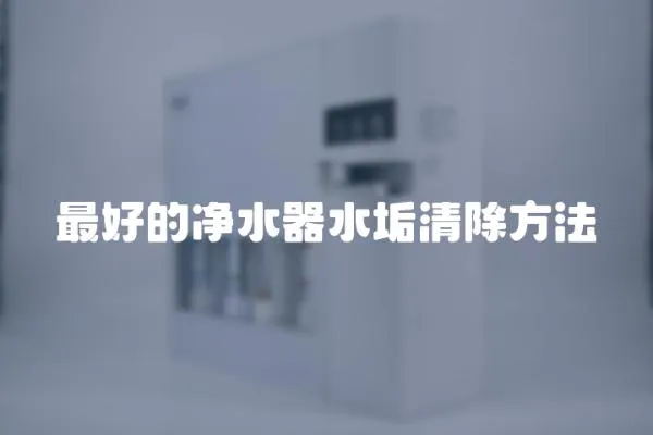 最好的凈水器水垢清除方法