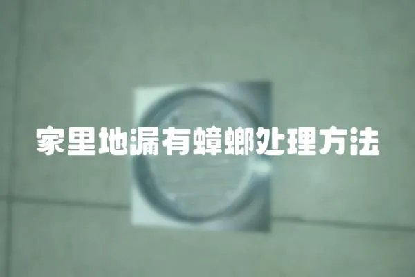 家里地漏有蟑螂處理方法
