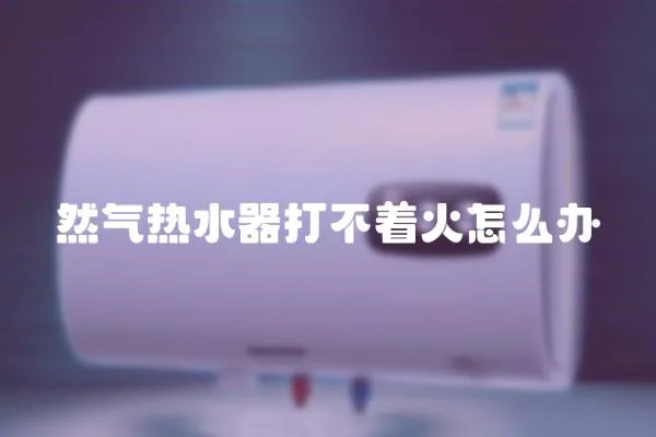 然氣熱水器打不著火怎么辦