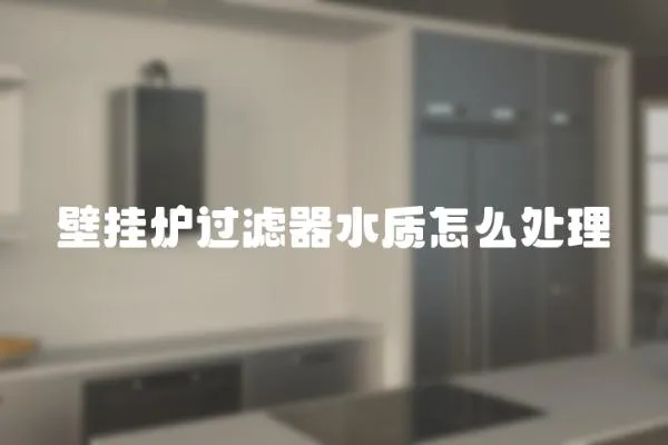 壁掛爐過濾器水質怎么處理