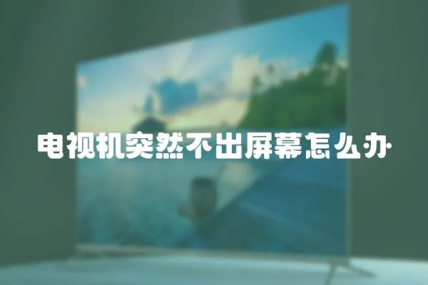 電視機突然不出屏幕怎么辦