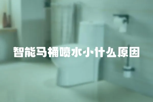 智能馬桶噴水小什么原因