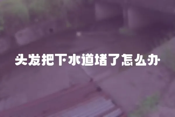 頭發(fā)把下水道堵了怎么辦