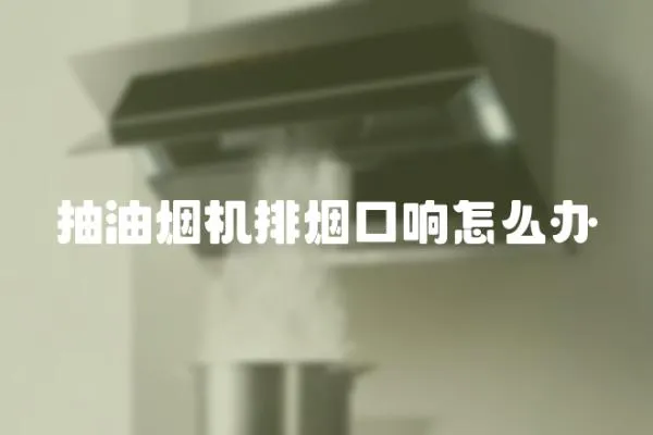 抽油煙機排煙口響怎么辦