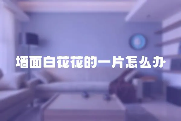 墻面白花花的一片怎么辦