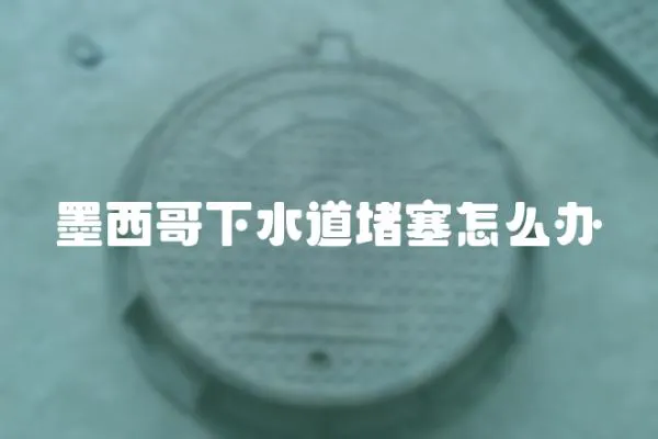 墨西哥下水道堵塞怎么辦