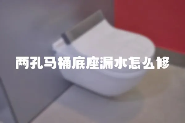兩孔馬桶底座漏水怎么修