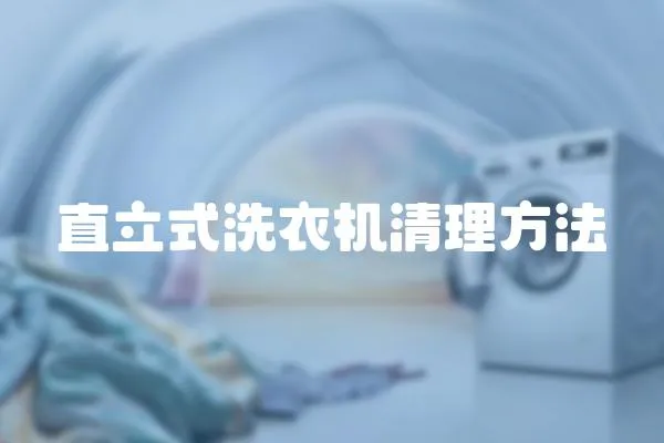 直立式洗衣機清理方法