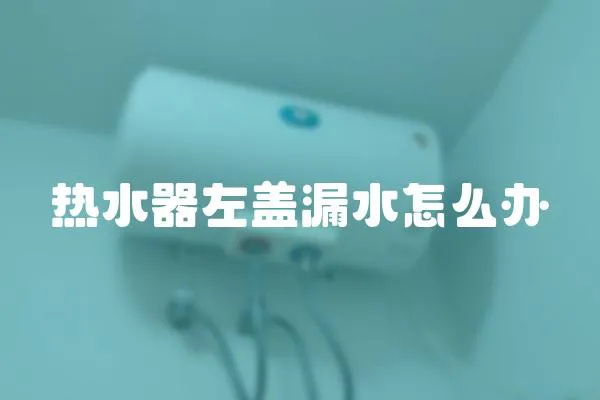 熱水器左蓋漏水怎么辦