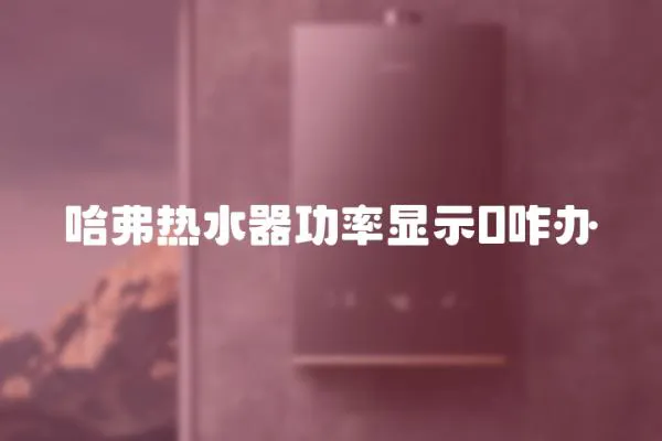 哈弗熱水器功率顯示0咋辦