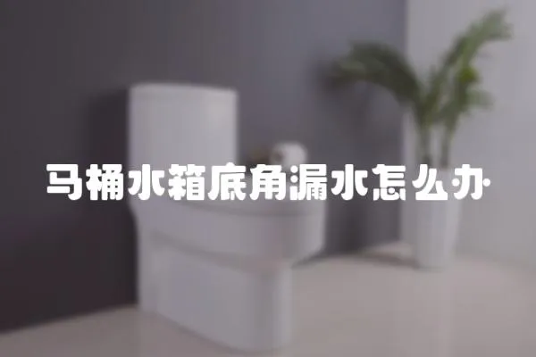 馬桶水箱底角漏水怎么辦