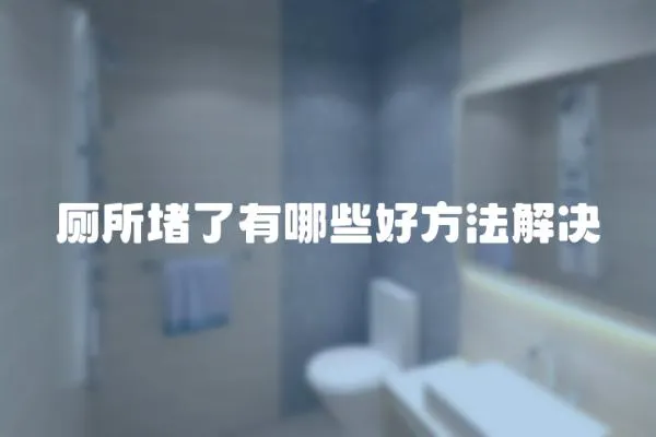 廁所堵了有哪些好方法解決