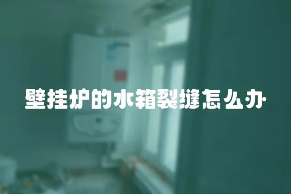 壁掛爐的水箱裂縫怎么辦