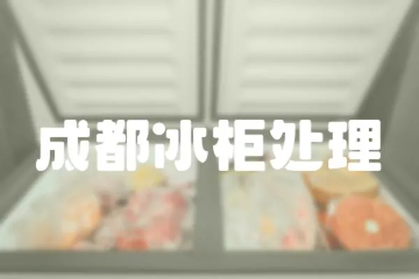 成都冰柜處理