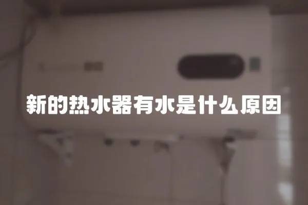 新的熱水器有水是什么原因