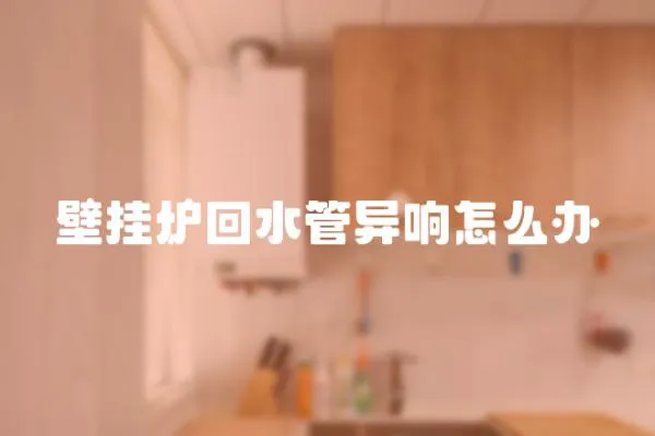 壁掛爐回水管異響怎么辦
