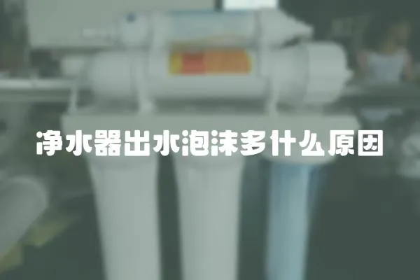 凈水器出水泡沫多什么原因