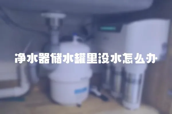凈水器儲水罐里沒水怎么辦