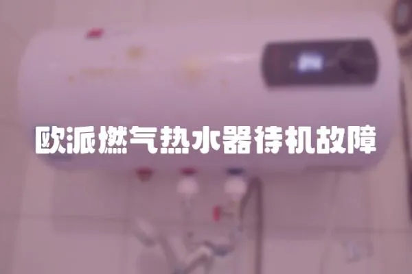 歐派燃?xì)鉄崴鞔龣C(jī)故障