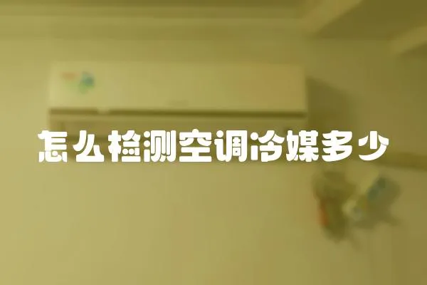 怎么檢測空調冷媒多少