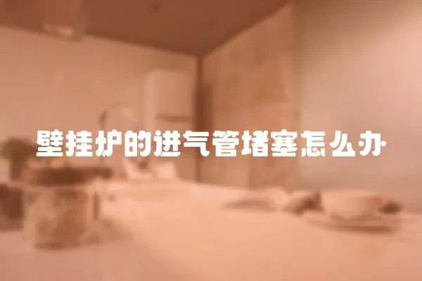 壁掛爐的進(jìn)氣管堵塞怎么辦