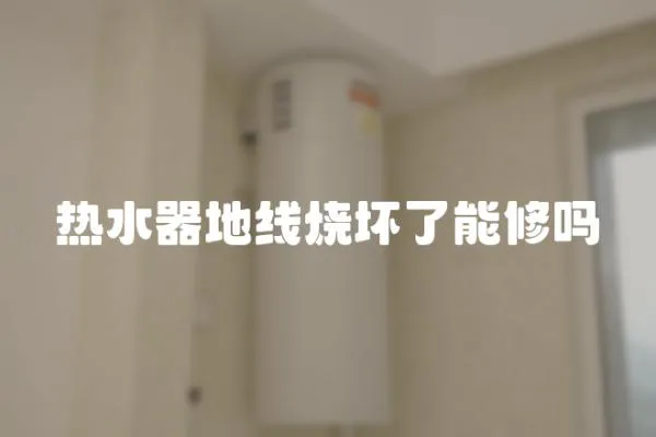 熱水器地線燒壞了能修嗎