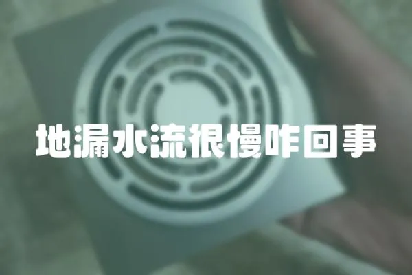 地漏水流很慢咋回事