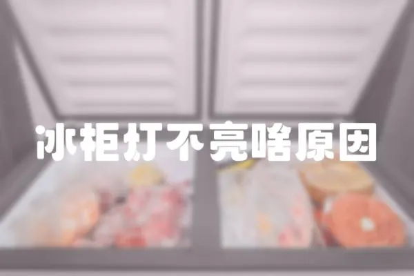 冰柜燈不亮啥原因