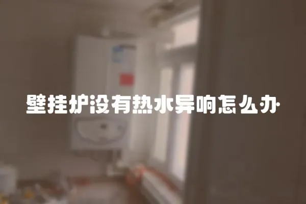 壁掛爐沒有熱水異響怎么辦