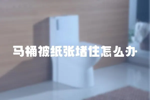 馬桶被紙張堵住怎么辦