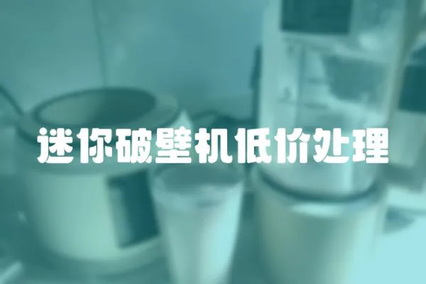 迷你破壁機低價處理
