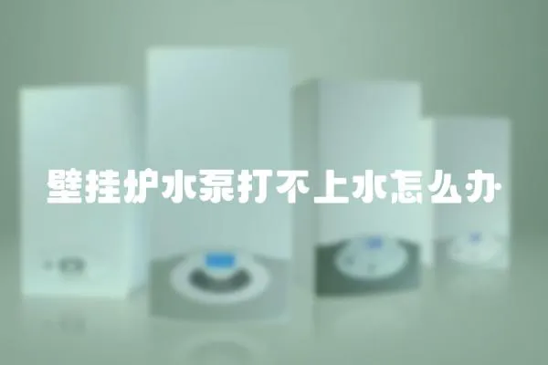 壁掛爐水泵打不上水怎么辦