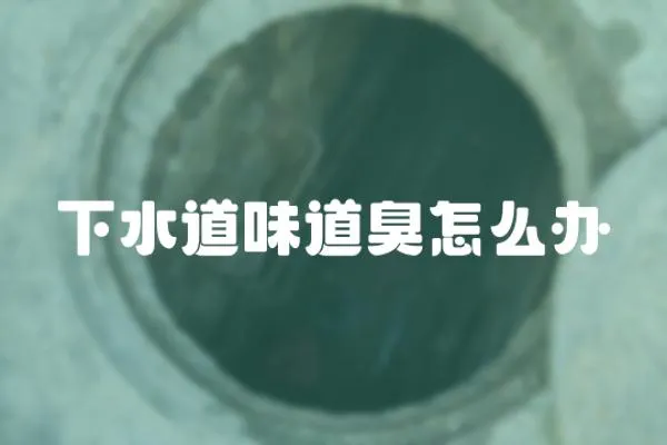 下水道味道臭怎么辦