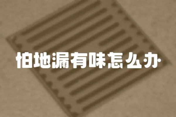 怕地漏有味怎么辦